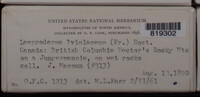 Image Associated With the Occurence